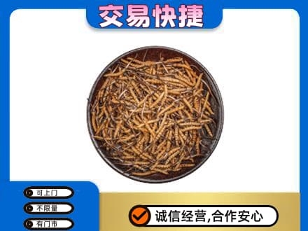 泰安市东平回收散虫草